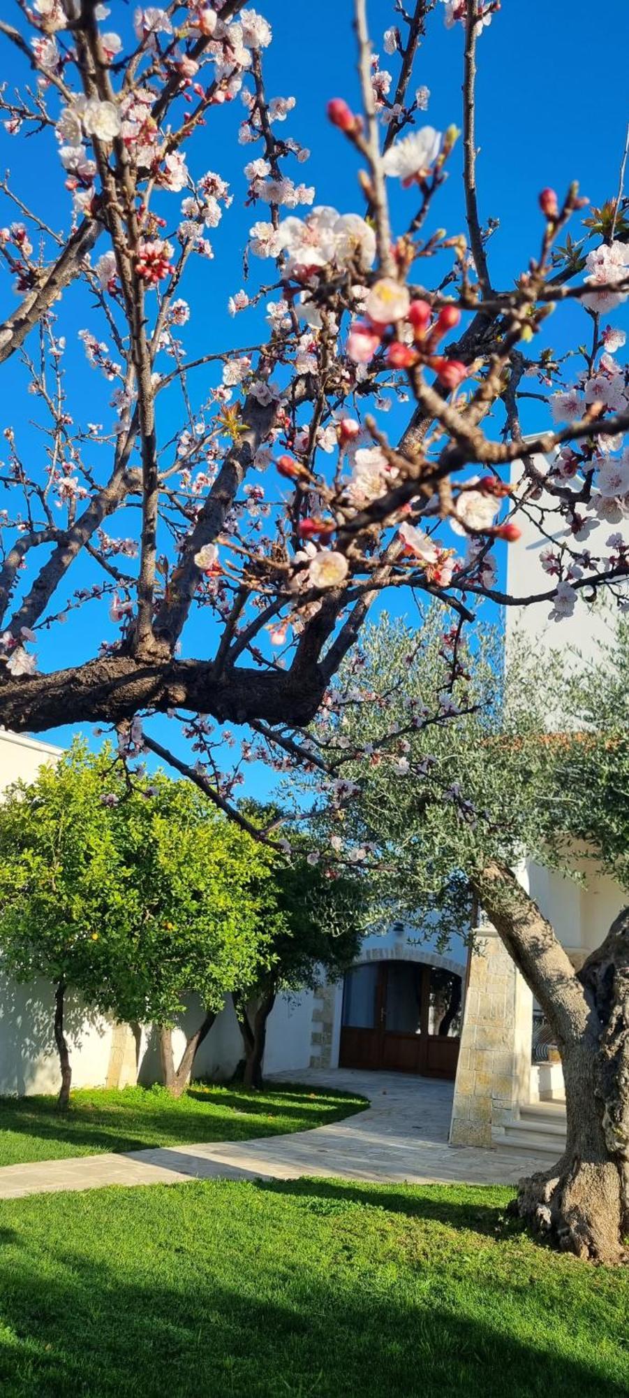 Villa Guajira Μπάρι Εξωτερικό φωτογραφία