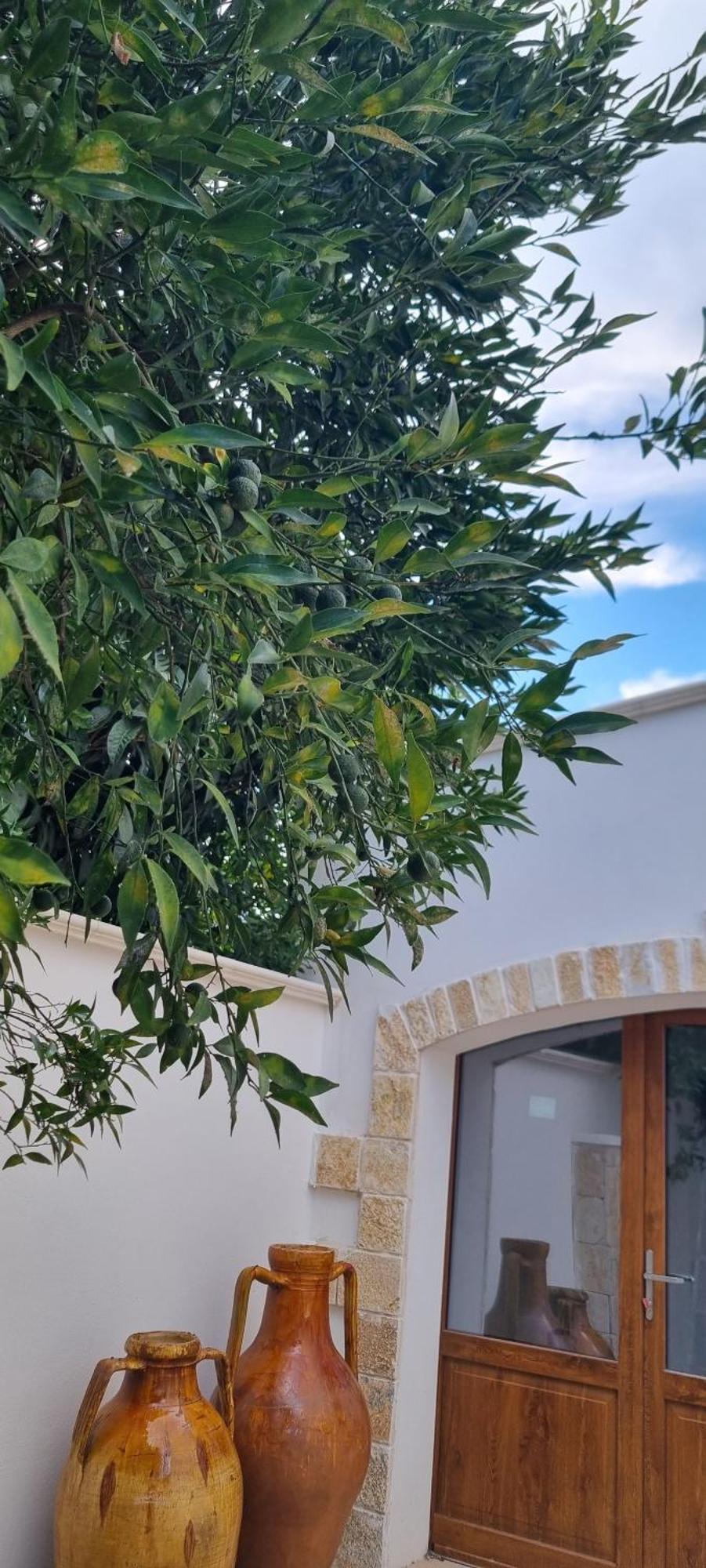 Villa Guajira Μπάρι Εξωτερικό φωτογραφία