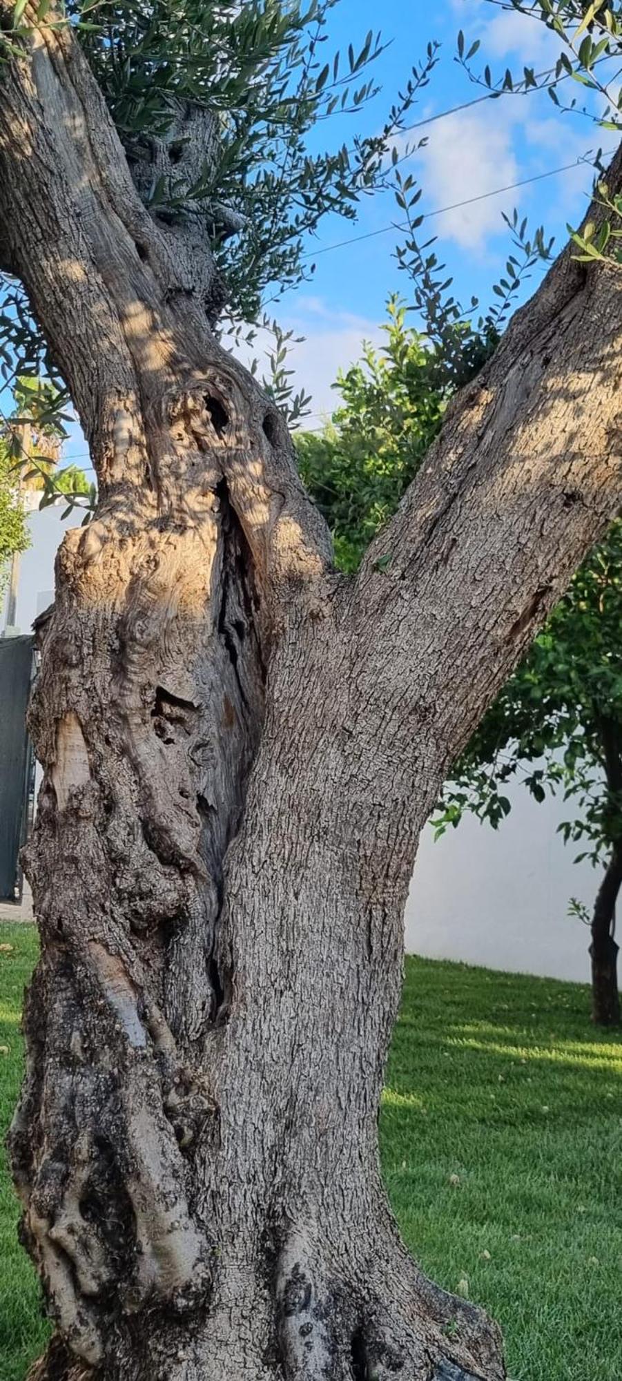 Villa Guajira Μπάρι Εξωτερικό φωτογραφία