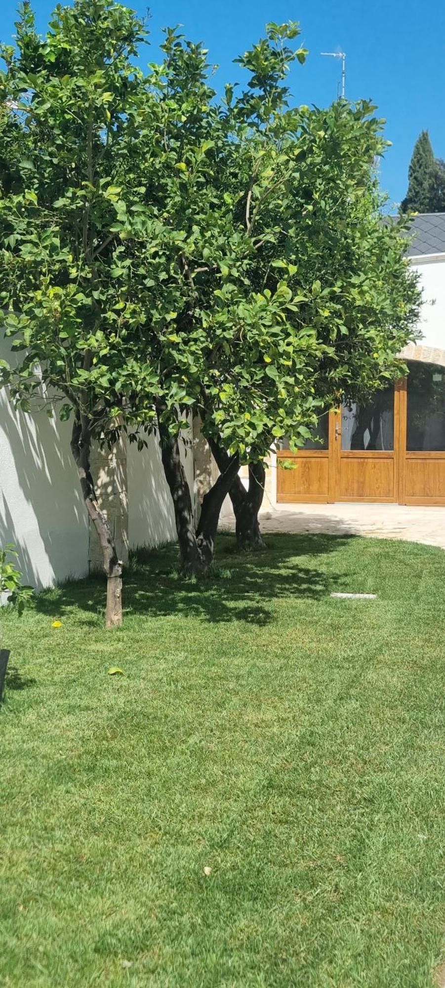 Villa Guajira Μπάρι Εξωτερικό φωτογραφία