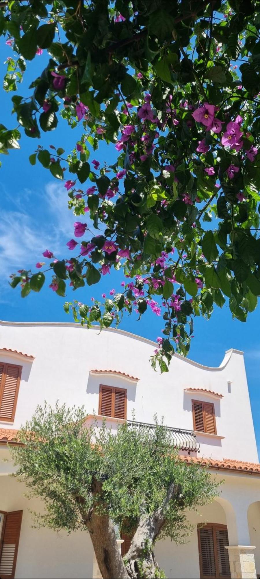 Villa Guajira Μπάρι Εξωτερικό φωτογραφία